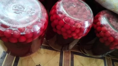 Photo of ишневый компот: домашний рецепт
